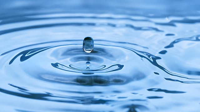 process-water-grow