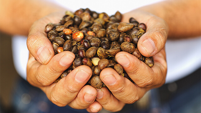 Naturaceites_palm oil refinery