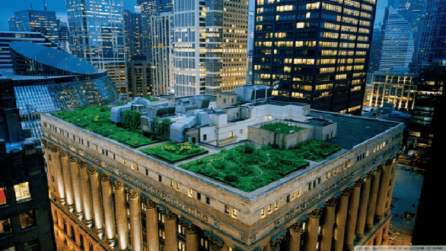 building roof garden wallpaper 640x360