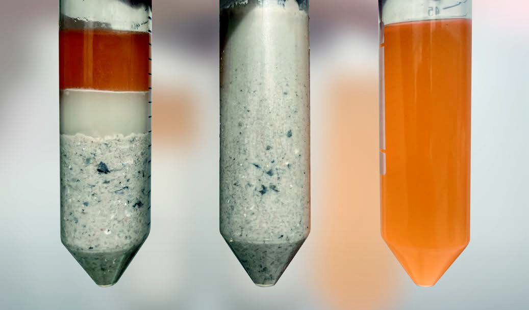 Fish oil processing