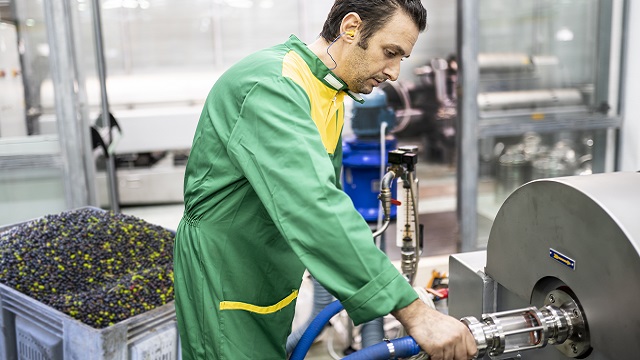 processo de produção de azeite