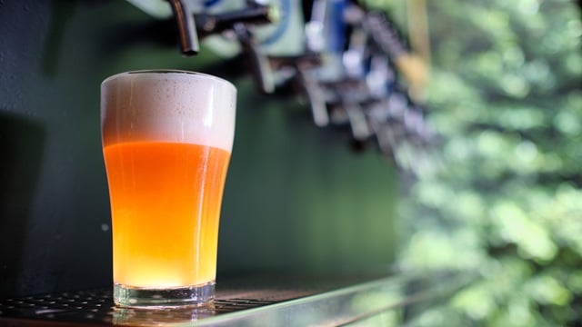glass-of-draft-beer.jpg