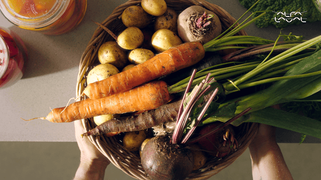 fresh-vegetables-basket.PNG