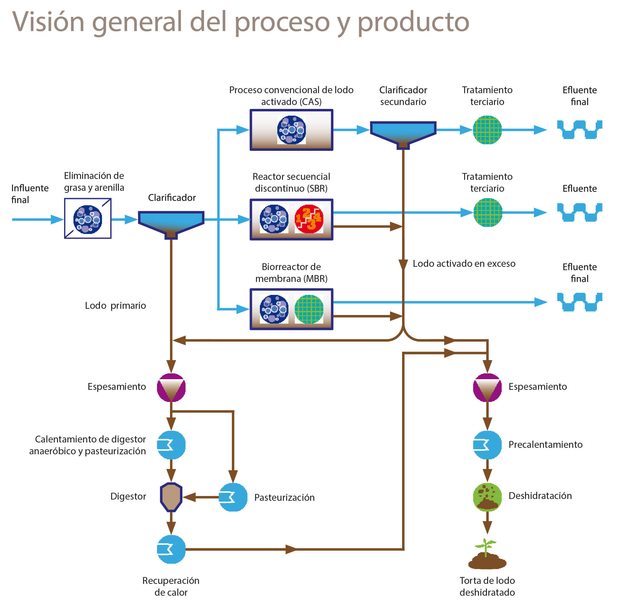 Proceso WW.jpg